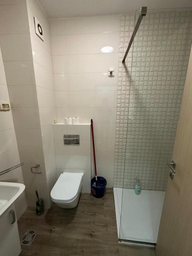 Hanna Apatment Podgorica Bagian luar foto