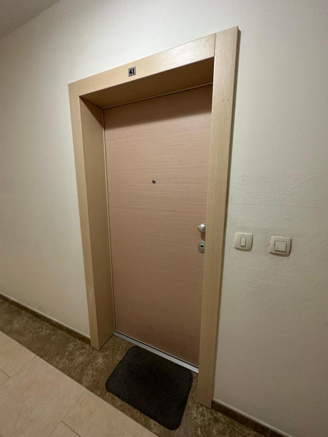 Hanna Apatment Podgorica Bagian luar foto